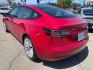 2021 Tesla Model 3 Standard Range Plus (5YJ3E1EA6MF) with an ELECTRIC engine, 1A transmission, located at 722 E Miner Ave, Stockton, CA, 95202, (209) 871-6645, 37.956711, -121.282310 - PLUS TAXES AND FEES NO CHARGER AVAILABLE - Photo#10